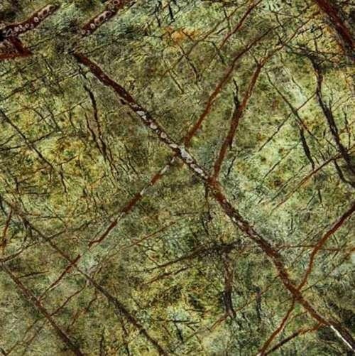 Rain Forest ( Green )