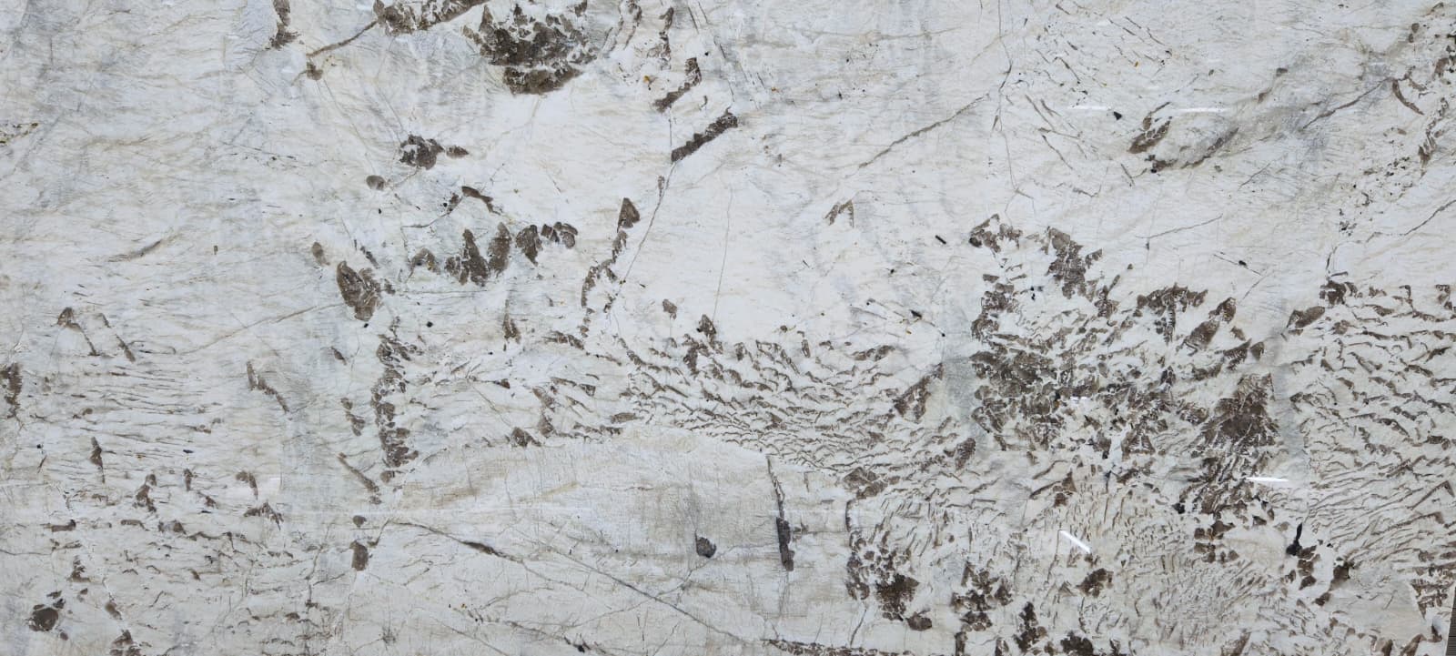 Alpine White